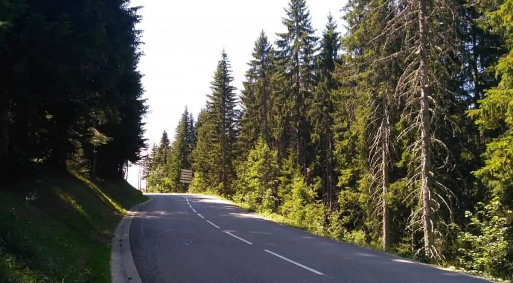 Е-Вело Просто - дорога в лесу, все про электровелосипеды, удобно, практично и просто