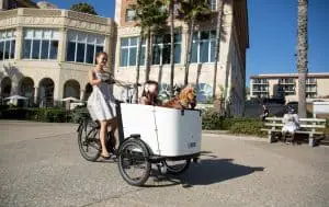 Е-Вело Просто - Электровелосипед Ferla Family Cargo, реальный мир, реальные е-байки - все про электровелосипеды, удобно, практично и просто